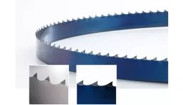 Столярная ленточная пила WINTERSTEIGER Flex-back (10/0.6/4 ROH)